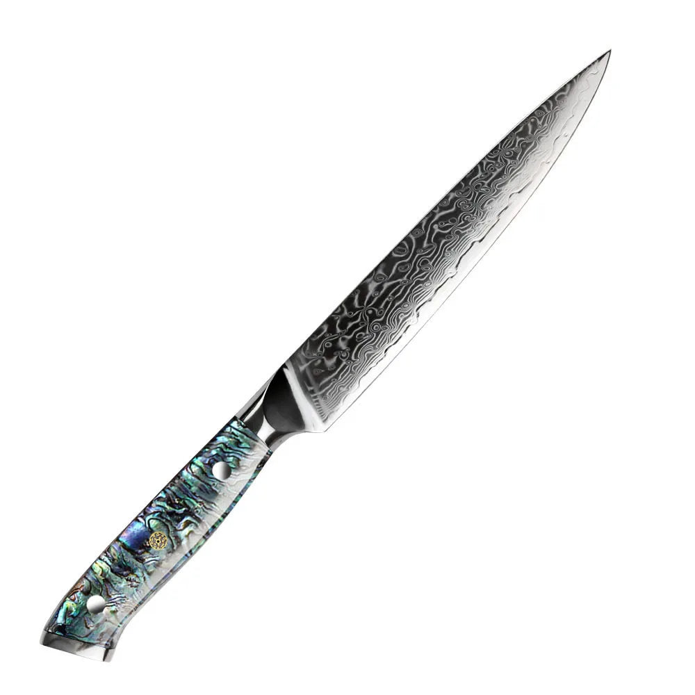 Professional Damascus VG 10 Steel Core 67 Layers Stainless Steel Abalone Handle Kitchen Knives Set