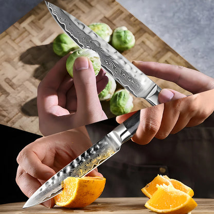 Directly Manufactured Company's Chef Fruit Carving Filleting Knife Custom Damascus Steel Non-Stick Pattern Blade Kitchen Knives