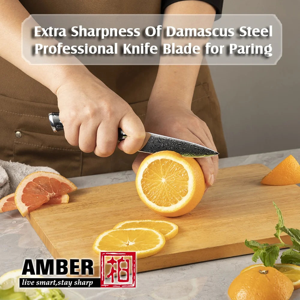 BlackTurquoise Stone Handle Fruit Carving Knife Damascus Paring Knife Kitchen Paring Knife