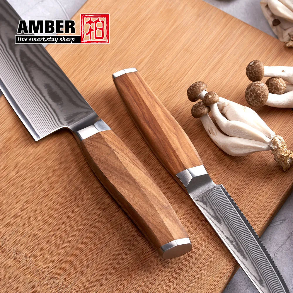 Original Design 5 Inch 67 Layers VG10 Damascus Steel Kitchen Knives Cutlery Restaurant Steak Beef Knife with Olive Wood Handle
