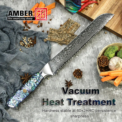 10 Pcs Professional Damascus VG 10 Steel Core 67 Layers Stainless Steel Abalone Handle Kitchen Knives Set