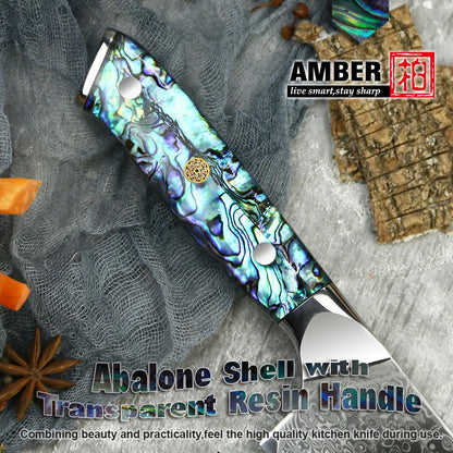 10 Pcs Professional Damascus VG 10 Steel Core 67 Layers Stainless Steel Abalone Handle Kitchen Knives Set