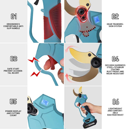 DTWA1-0021+A2-0048 Electric Pruner and Saw Kit with Extension bar