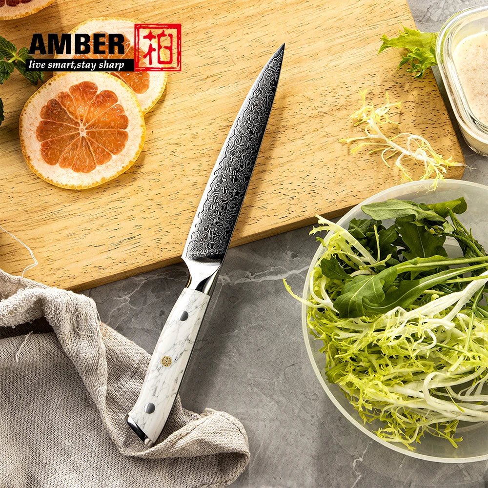 6 Inch Super Sharp All Purpose 67 Layers Damascus VG 10 Steel Kitchen Utility Knife with Turquoise Stone Handle