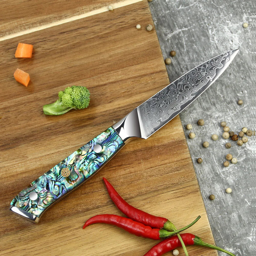 Professional Damascus VG 10 Steel Core 67 Layers Stainless Steel Abalone Handle Kitchen Knives Set