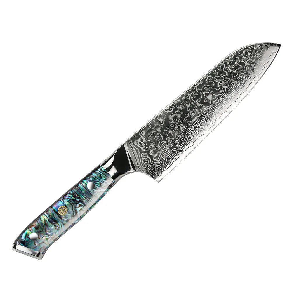 Professional Damascus VG 10 Steel Core 67 Layers Stainless Steel Abalone Handle Kitchen Knives Set
