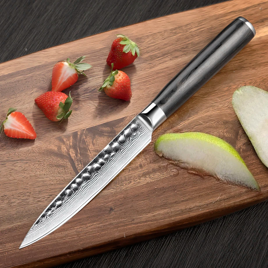 Directly Manufactured Company's Chef Fruit Carving Filleting Knife Custom Damascus Steel Non-Stick Pattern Blade Kitchen Knives