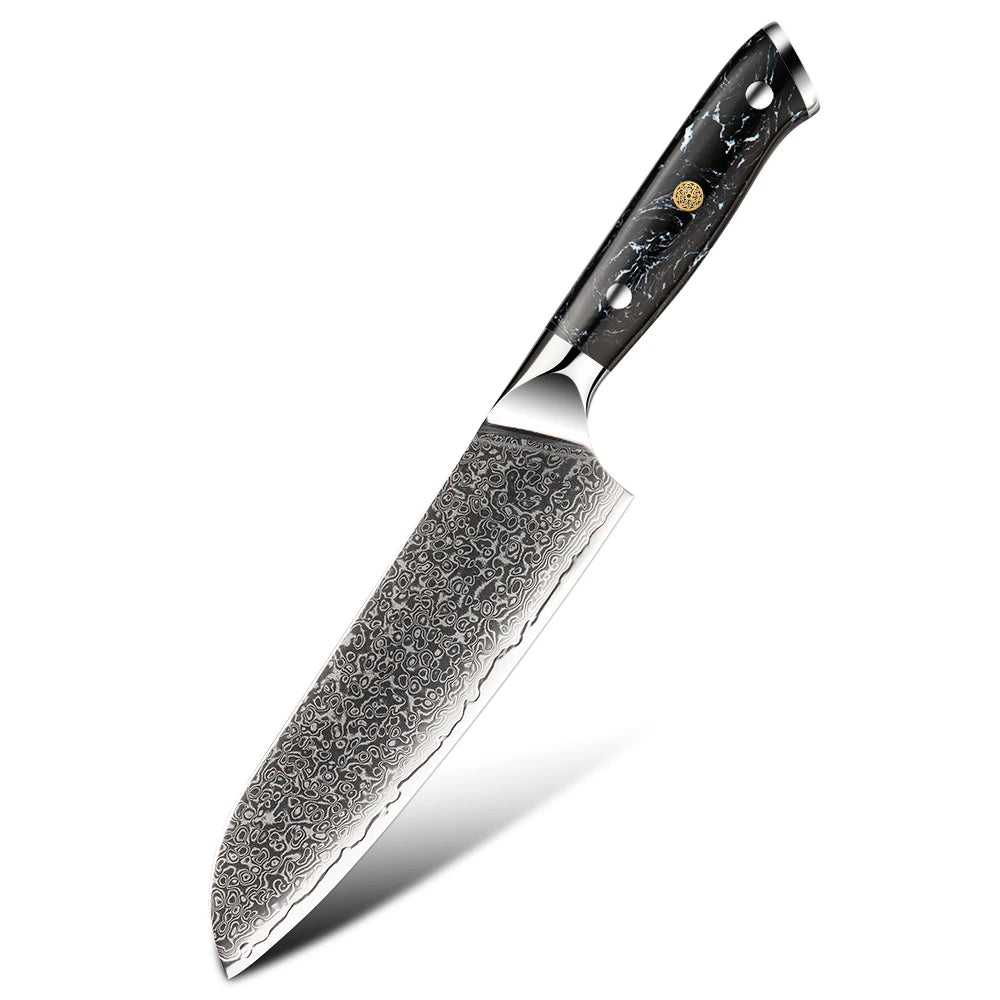 BlackTurquoise Stone Handle Professional Knife Set Damascus Steel Kitchen Knife Set Japanese Damascus Knife Set