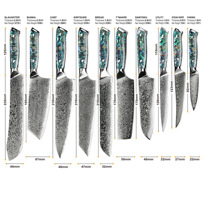 10 Pcs Professional Damascus VG 10 Steel Core 67 Layers Stainless Steel Abalone Handle Kitchen Knives Set